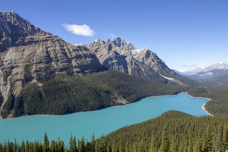 The aqua blue waters of Peyto Lake, Alberta