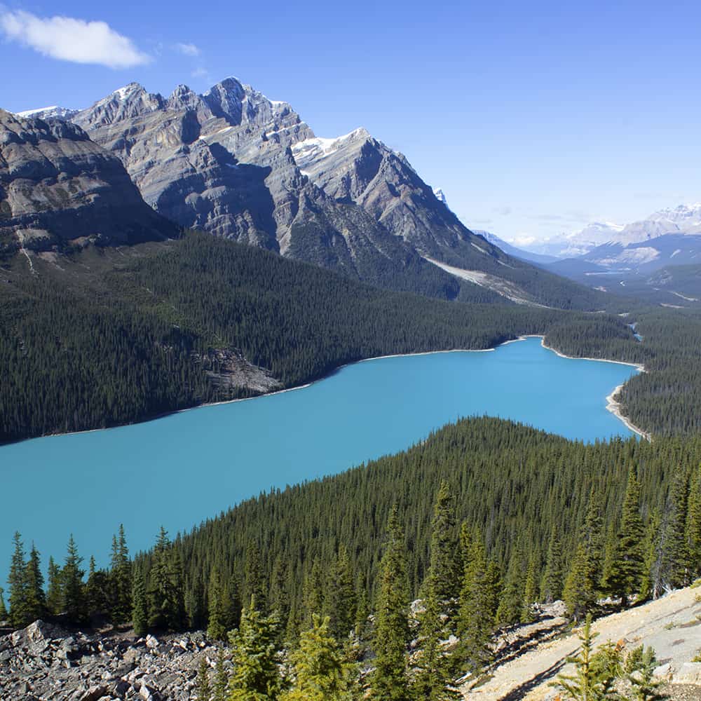 A view of Peyto Lake in Banff National Park