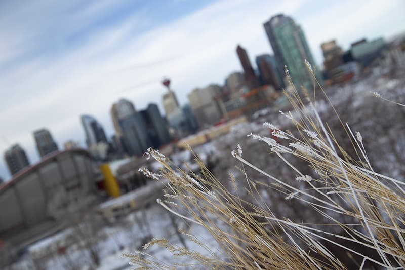 Centro di Calgary in inverno