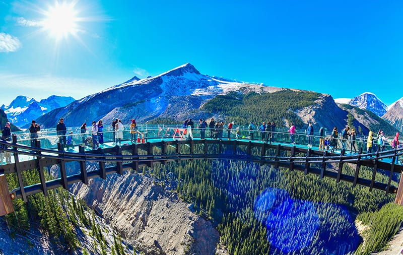 The Columbia Icefield Skywalk puts you on a glass walkway high above the canyon.