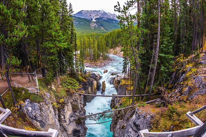 Sunwapta Falls in Jasper National Park