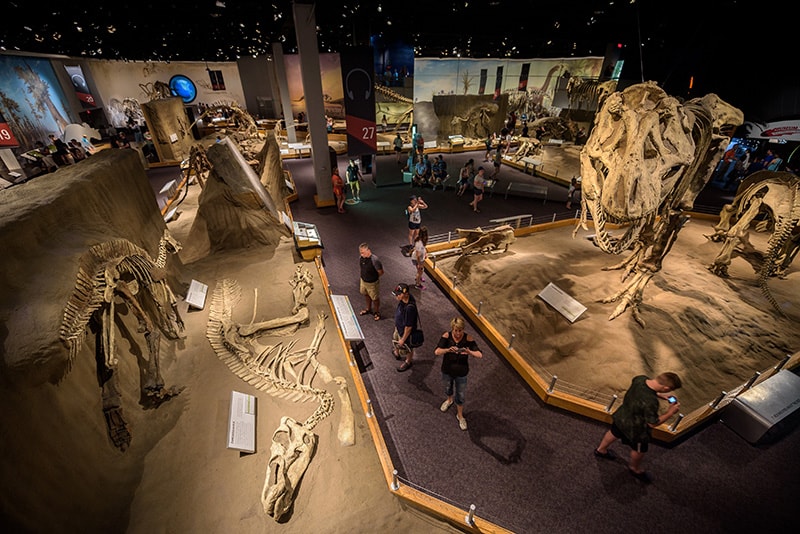 The Royal Tyrrell Museum in Drumheller, Alberta.