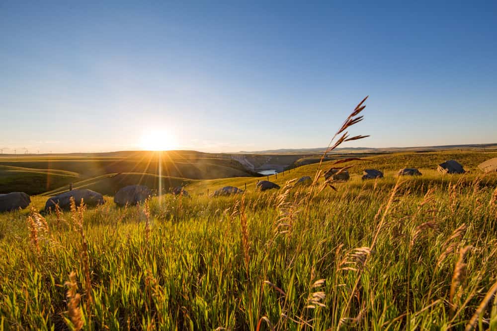 Sun shining on Alberta countryside, views from a day trip from Calgary.