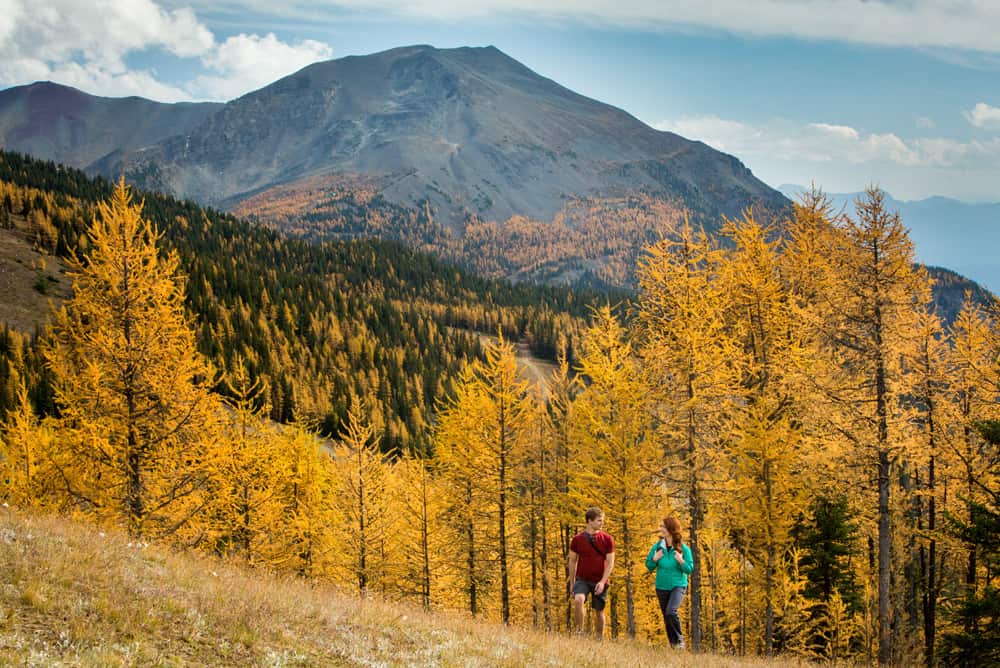 Larch Valley Hike