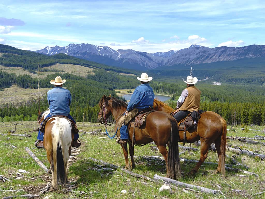 alberta travel places