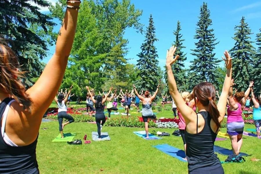 Yoga in the park with Calgary Outdoor Yoga