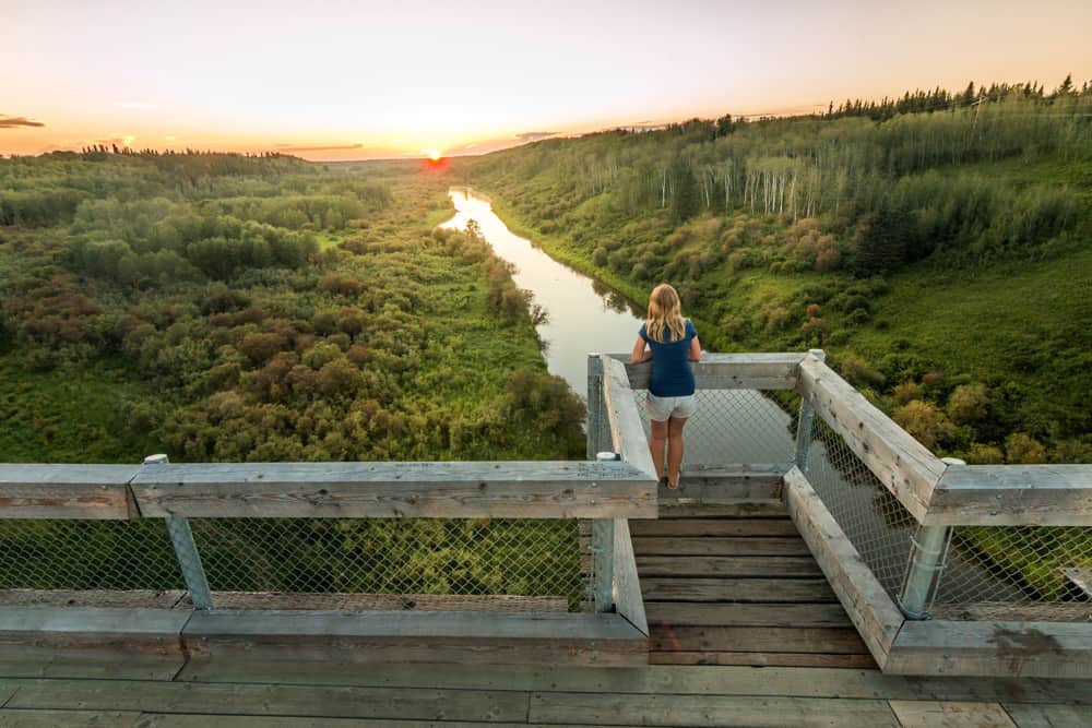 A view from the Iron Horse Trail in Alberta