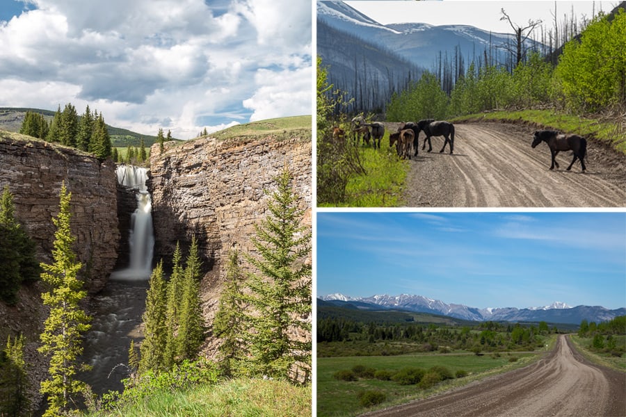 Take a road trip from Sundre towards Ya Ha Tinda Ranch in Alberta