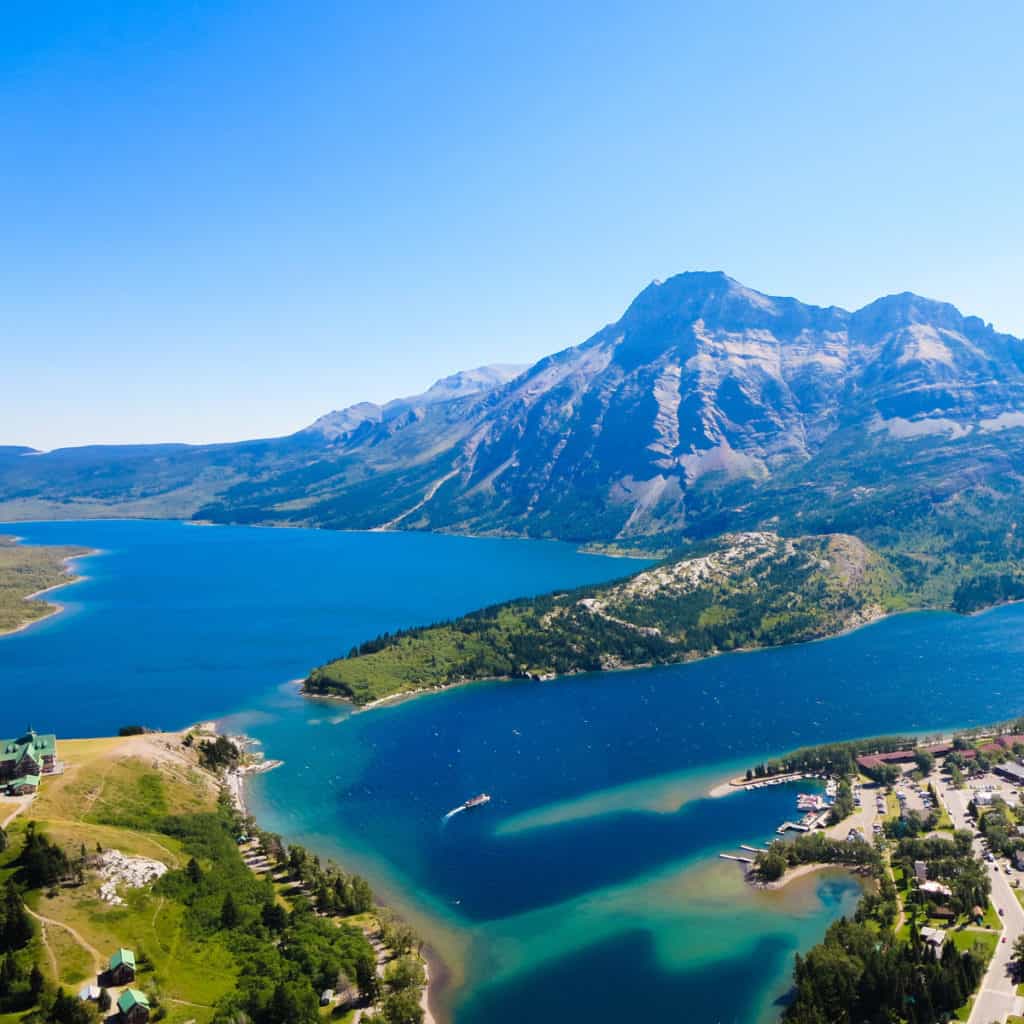 are dogs allowed in waterton national park