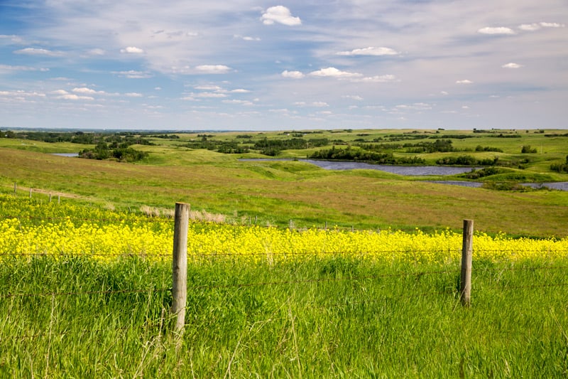 A prairie scene along the Boomtown Trail