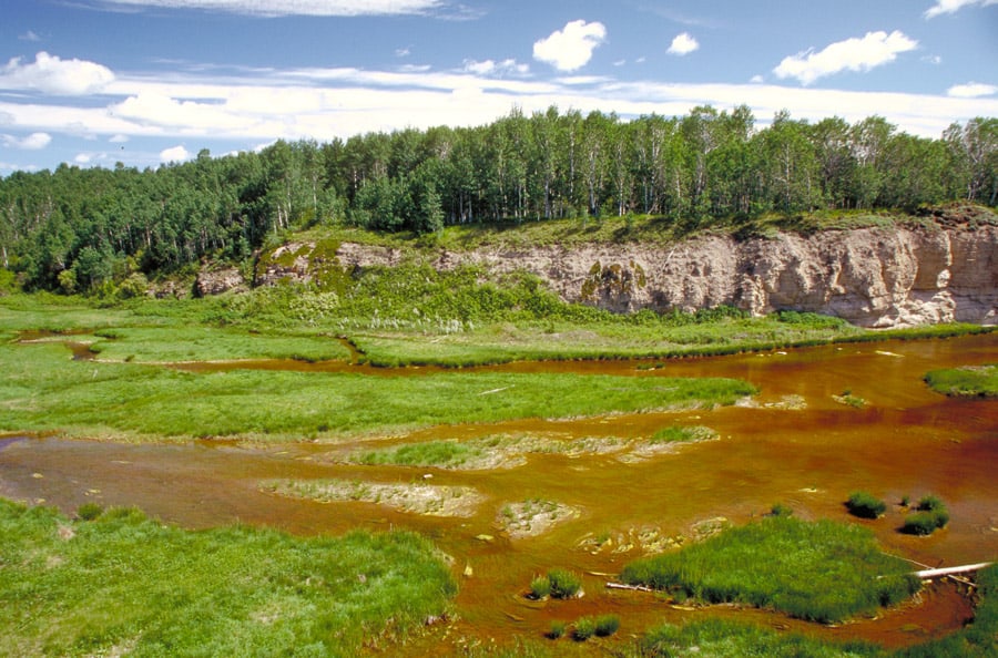 The landscape of Wood Buffalo National Park, Alberta