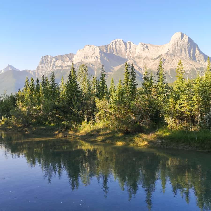 A reflection in an pond in Canmore, Alberta.