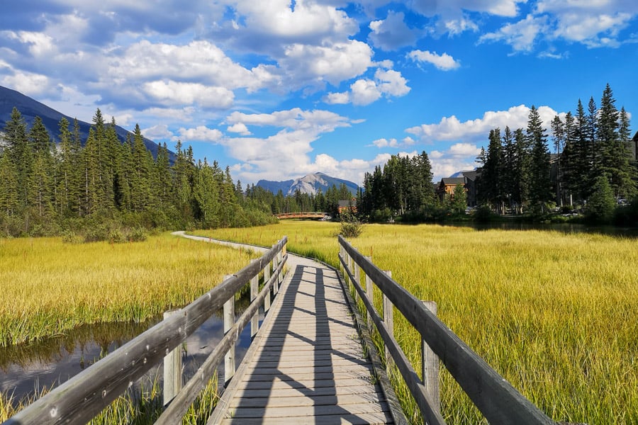 Policeman's Creek Boardwalk in Canmore, Alberta