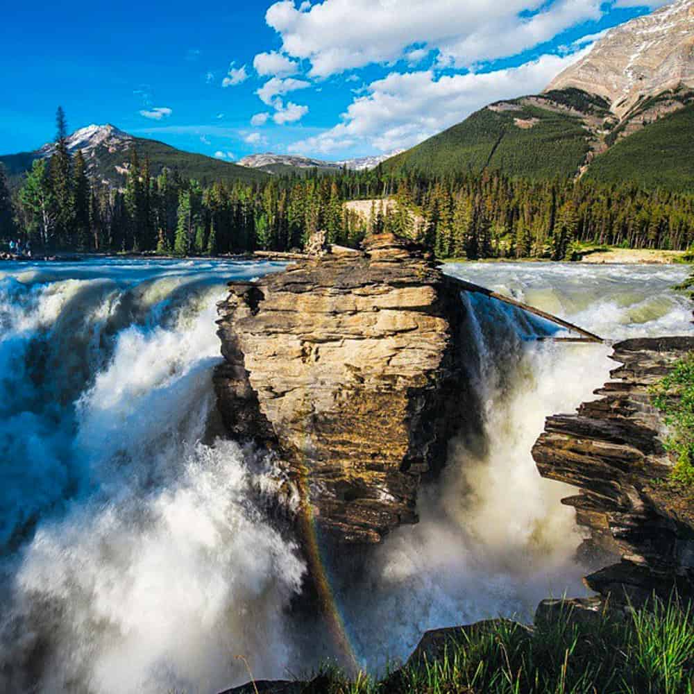 The powerful Athabasca Falls in Jasper National Park