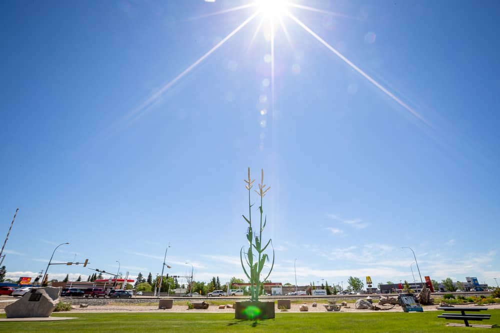 The Giant Corn Stalk in Taber, Alberta