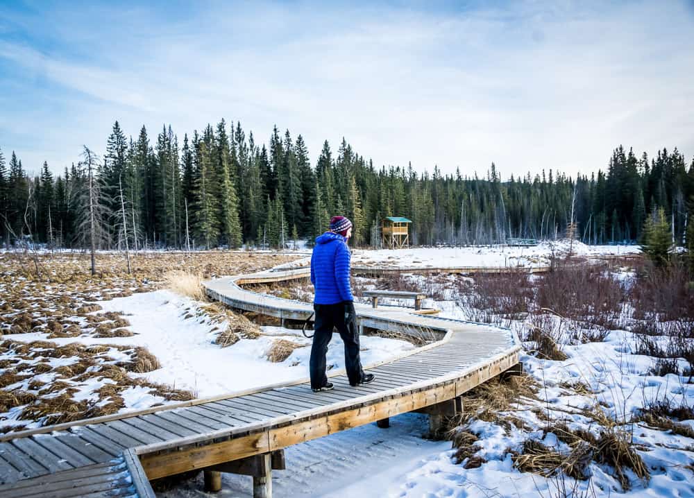 Boardwalk in Hinton, Alberta