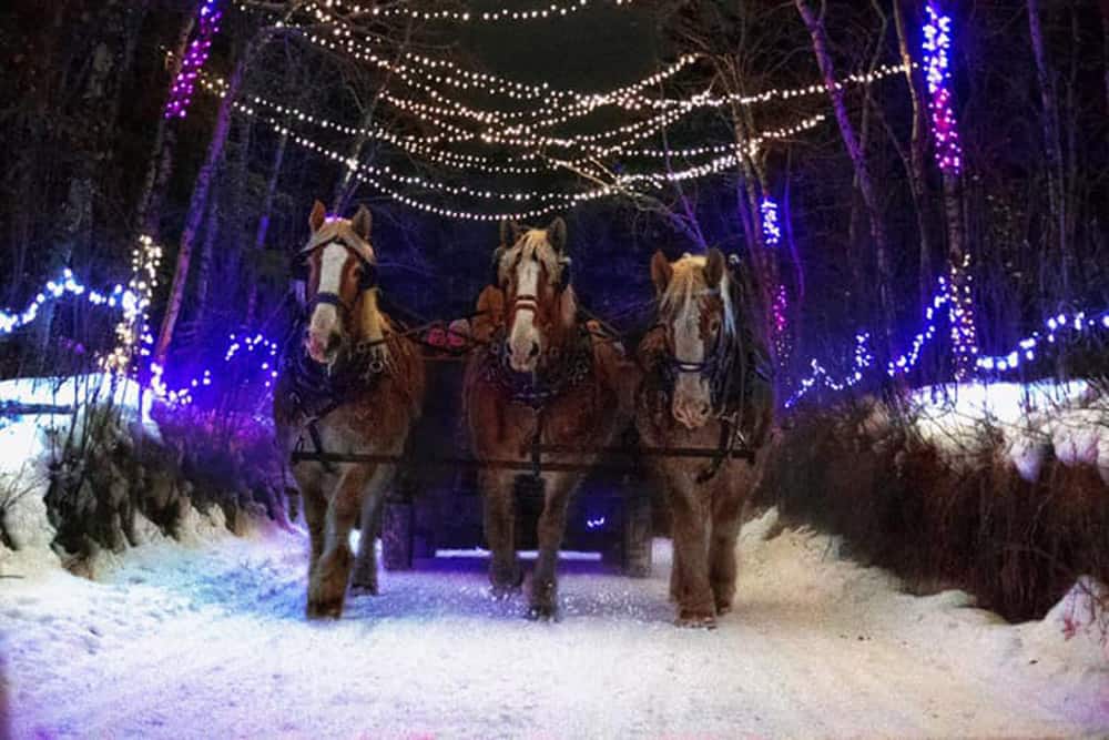 Heritage Ranch Winter Lights