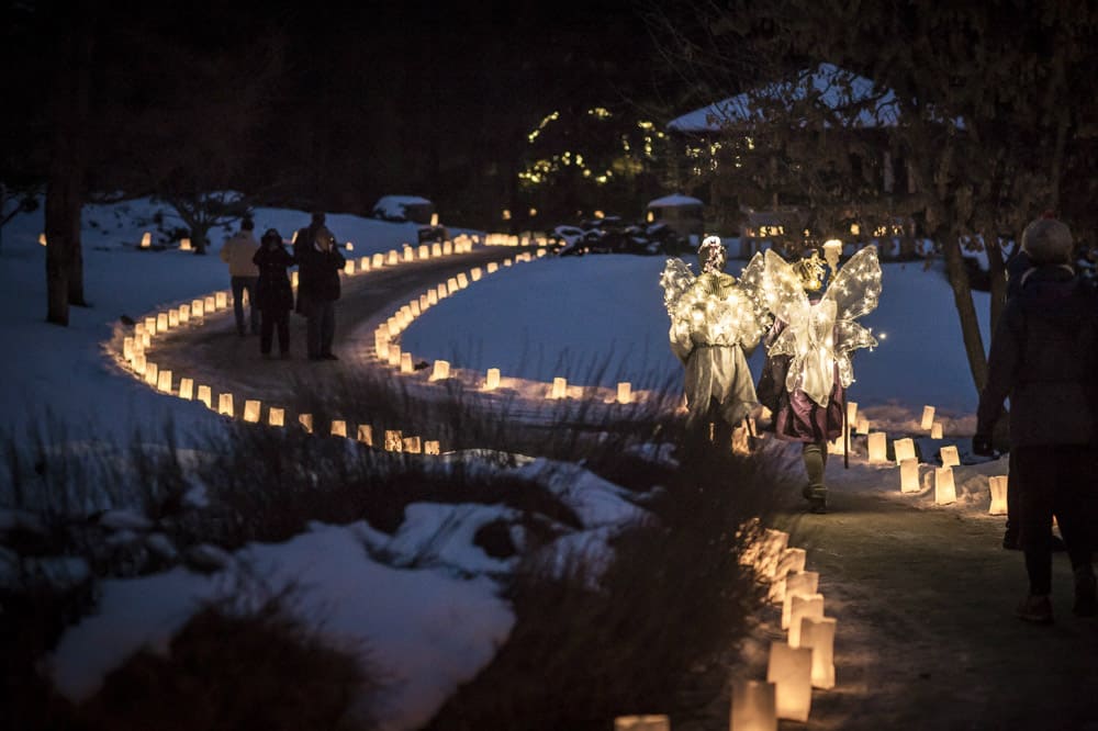 Luminaria Christmas Lights