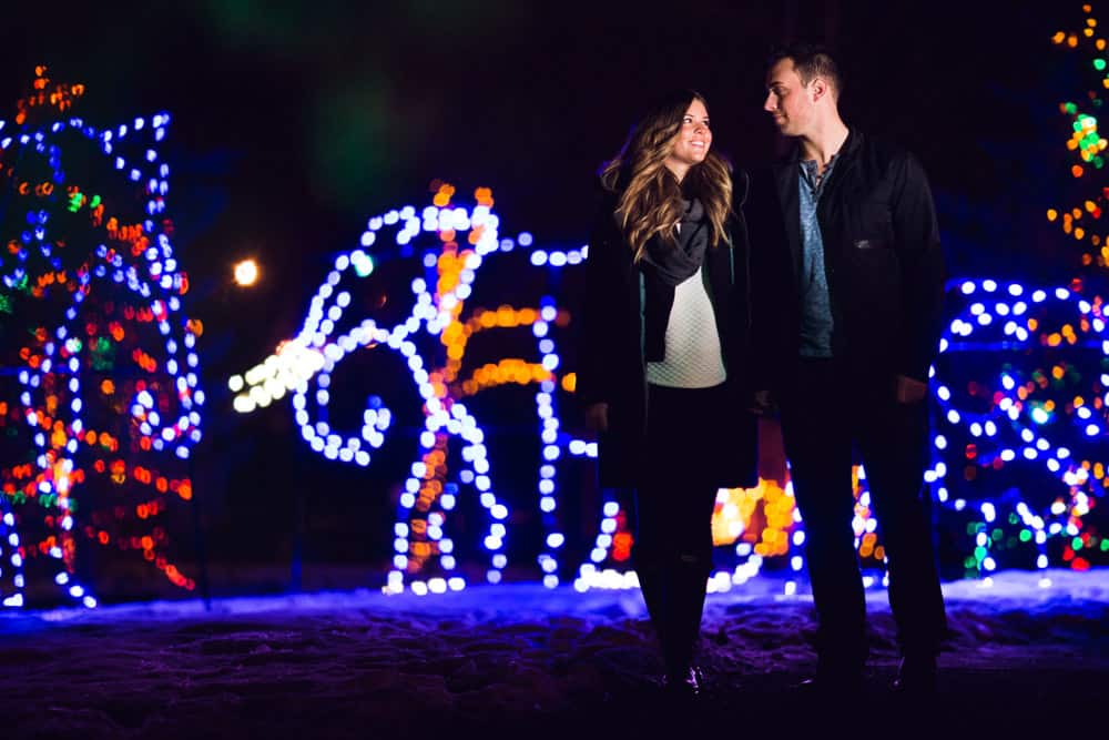 Zoolights in Calgary