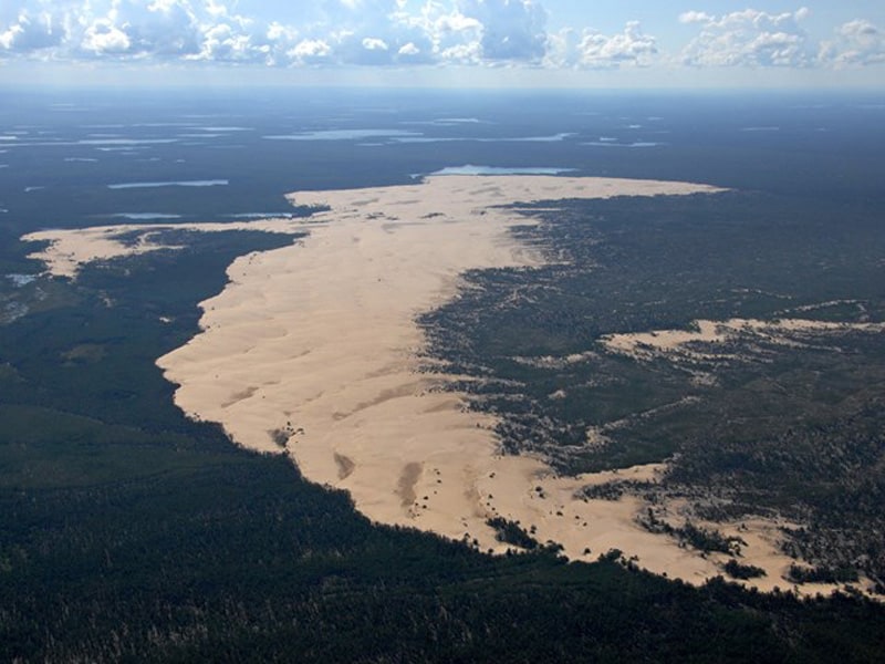 Athabasca Sand Dunes