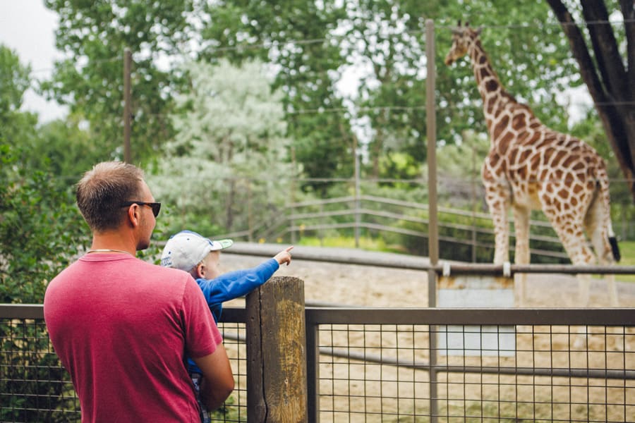 un padre e Un bambino al Calgary Zool