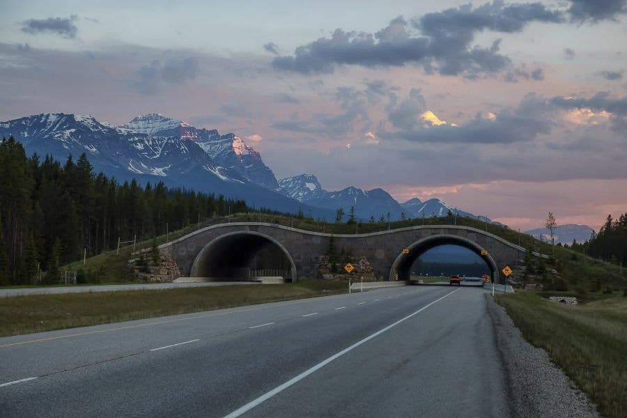 The COMPLETE Guide for Getting from Calgary to Lake Louise (for 2024)