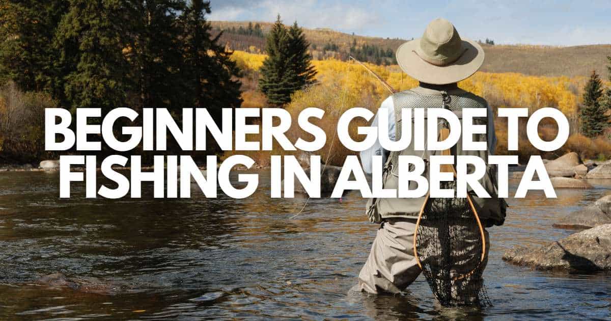 Fishing in Alberta A Beginner's Guide (for 2024) Road Trip Alberta