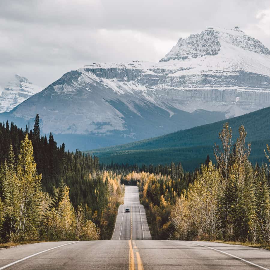 Calgary to Jasper Feature