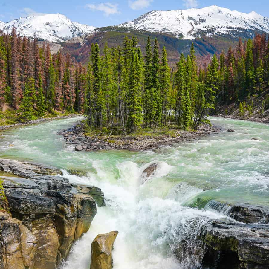 Sunwapta Falls Jasper National Park