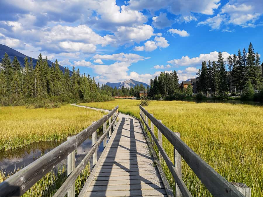 A Boardwalk in Canmore