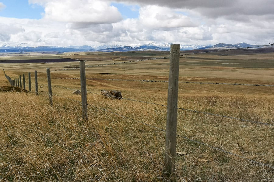 Along dirt roads outside Pincher Creek Alberta