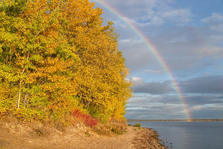 A Rainbow over Pigeon Lake