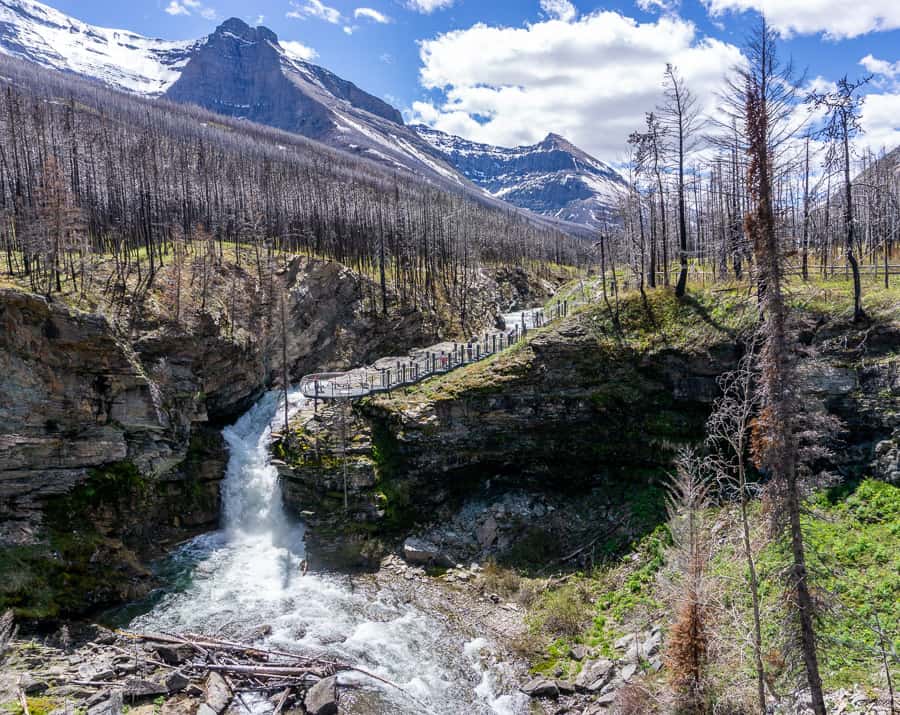 Blakiston Falls - Waterton Lakes National Park