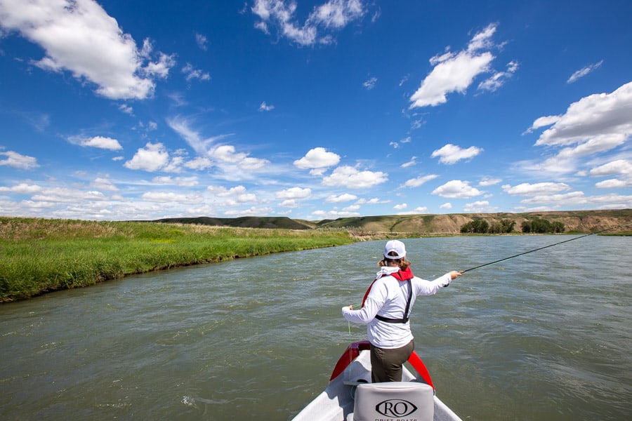 Fly Fishing Near Calgary