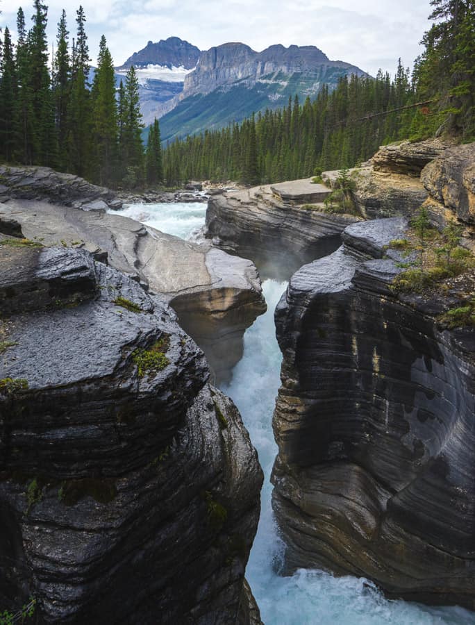 The ULTIMATE Guide for Getting from Calgary to Jasper (for 2024)