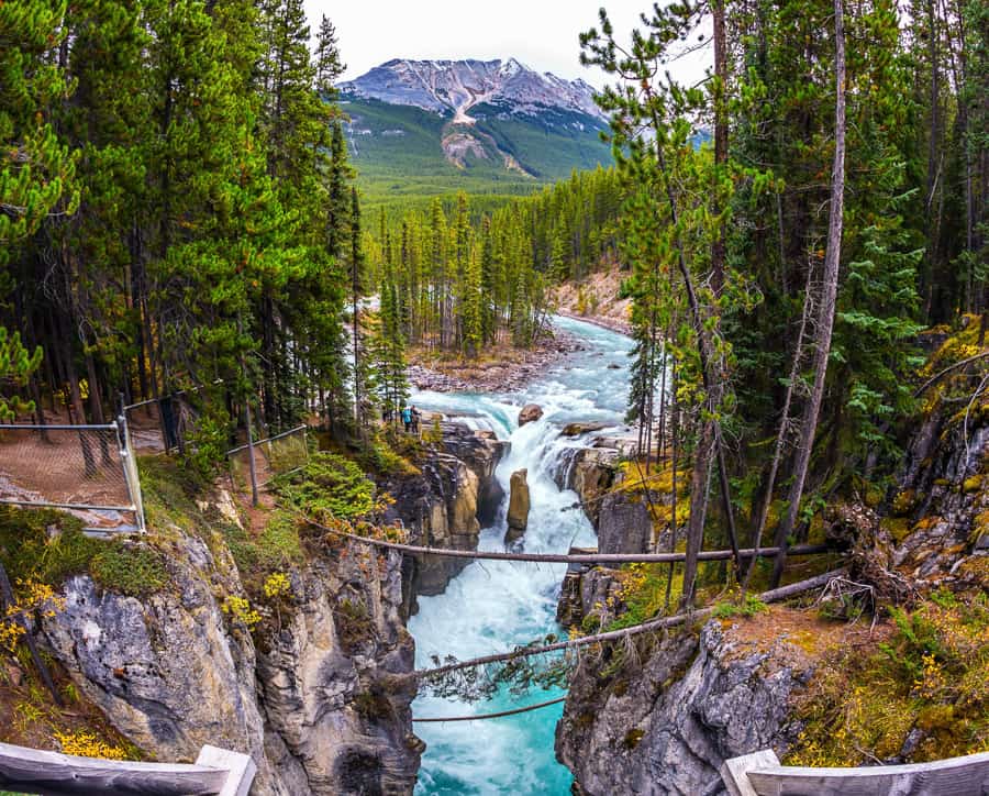 Sunwapta Falls in Jasper National Park is one of the most popular waterfalls in Alberta and Canada.