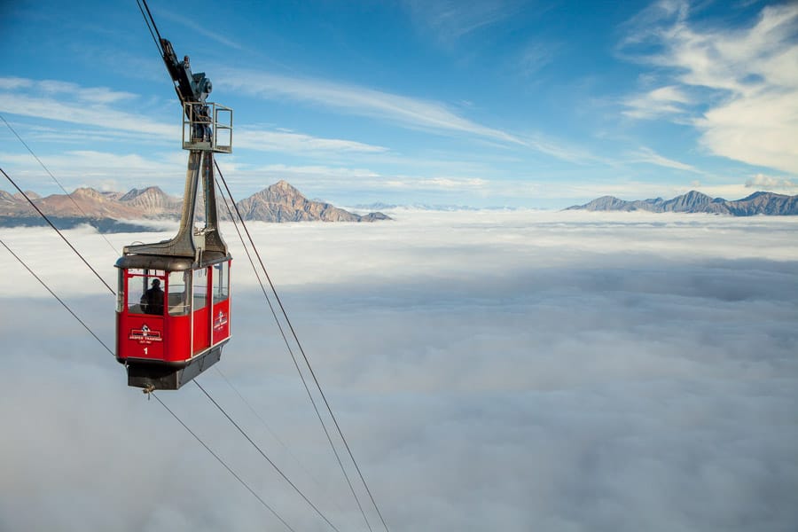 See Jasper from above by taking the Jasper SkyTram above the clouds