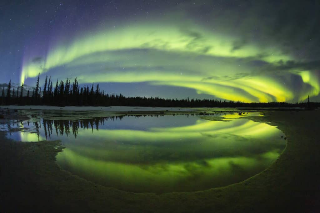 Northern Lights in Wood Buffalo National Park