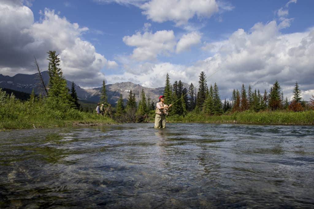 Fly fishing in Crowsnest Pass