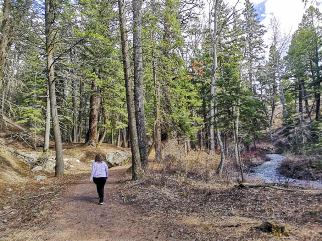 Miners Path in Crowsnest Pass