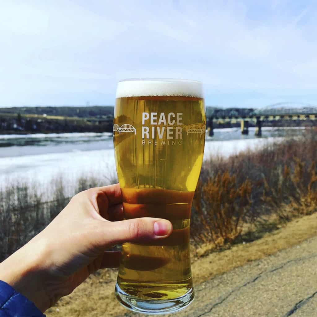 A pint from Peace River Brewing