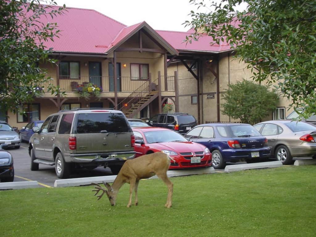 Aspen Village Waterton