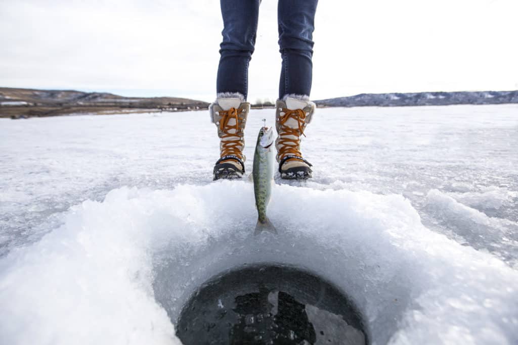 Ice Fishing in Alberta