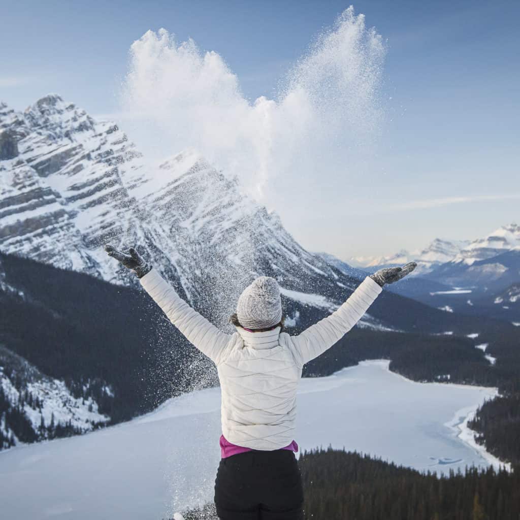 Winter in Alberta Feature