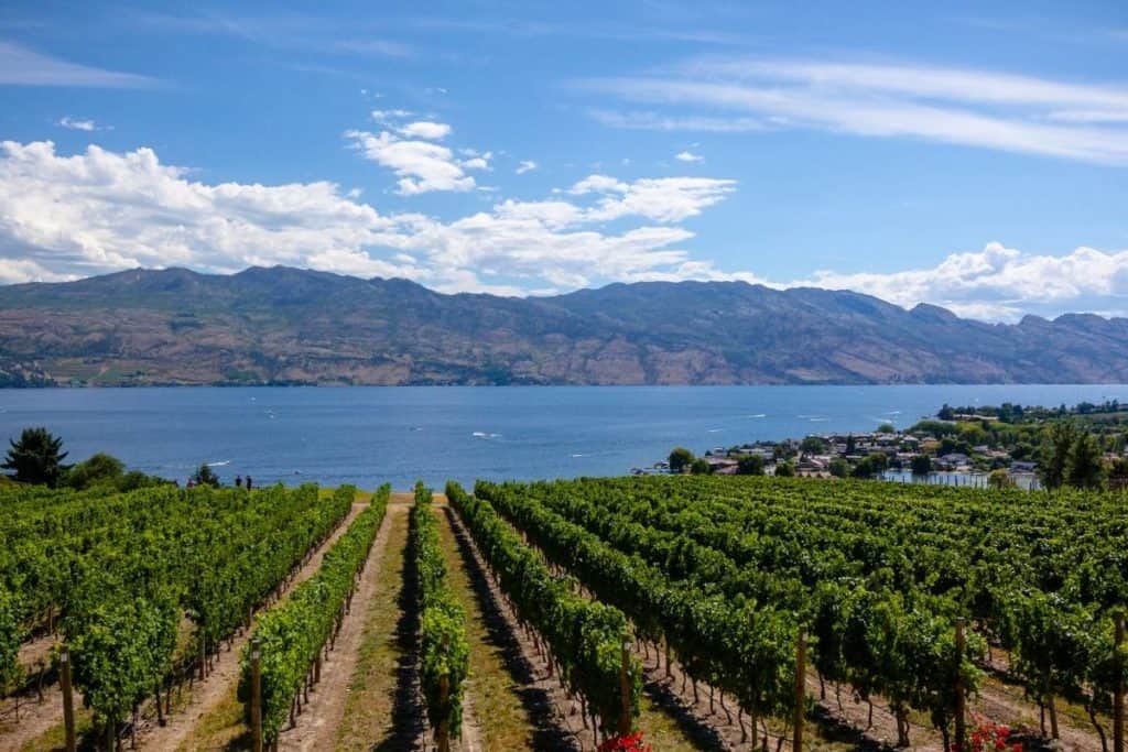 A Kelowna winery