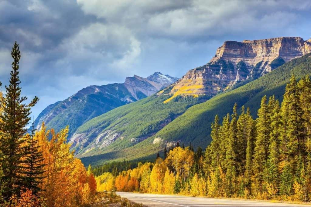 Road to Banff in Autumn