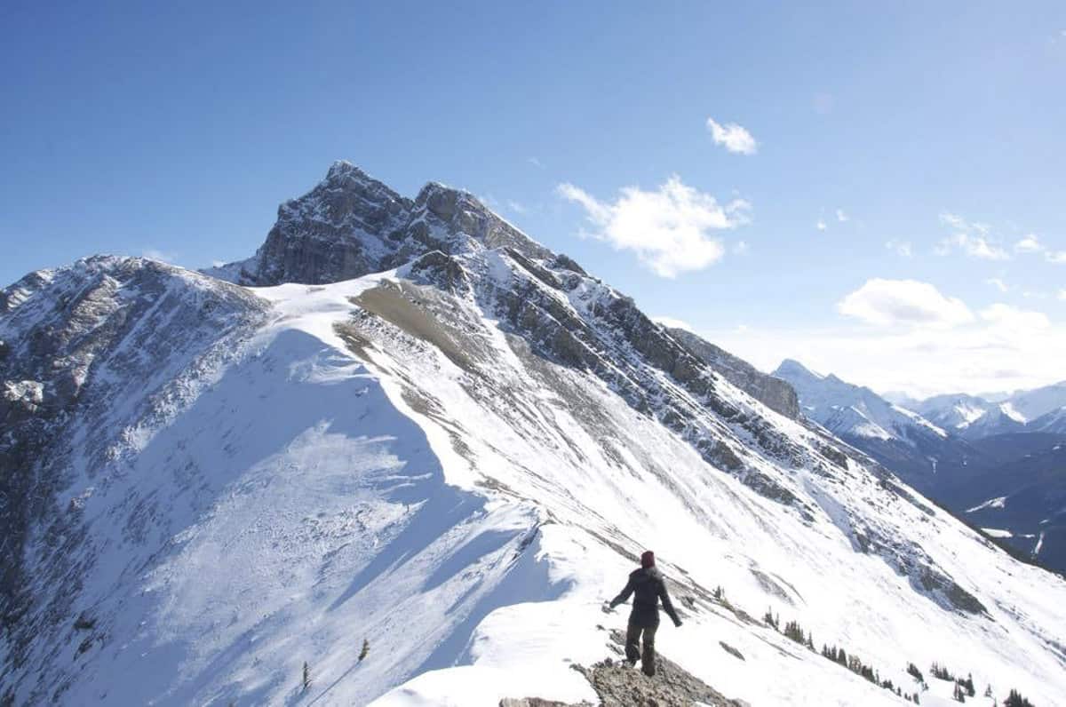 A View of Miners Peak