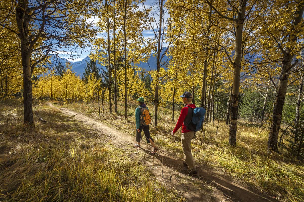 Hikers in Canmore