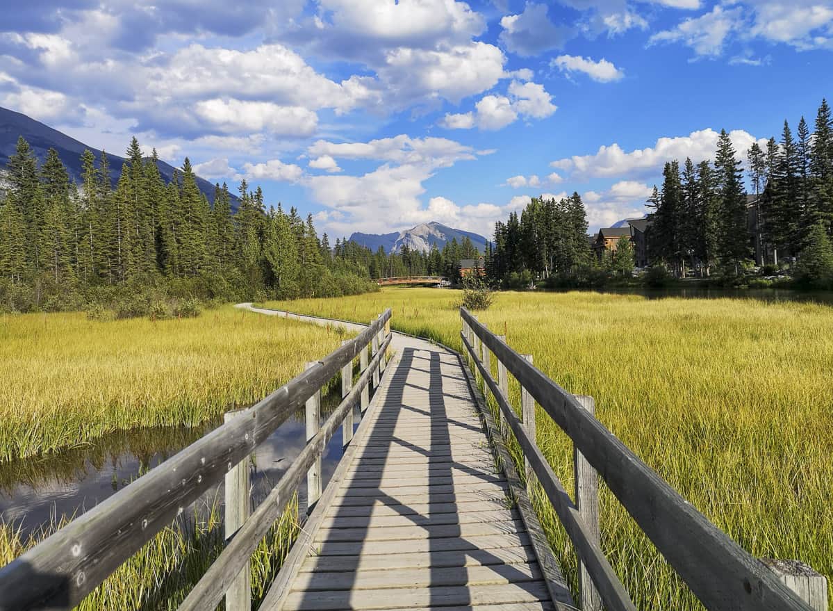 Views from Policeman's Creek Boardwalk Canmore