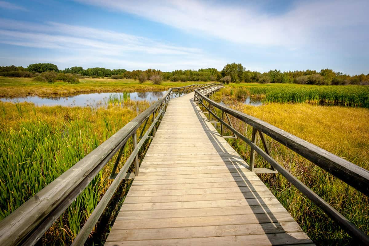 Aspen Beach Provincial Park